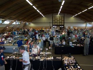 Chicagoland Gem, Mineral & Fossil Show This Weekend