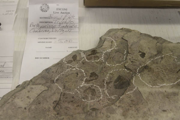 Live Auction Items Coming Up