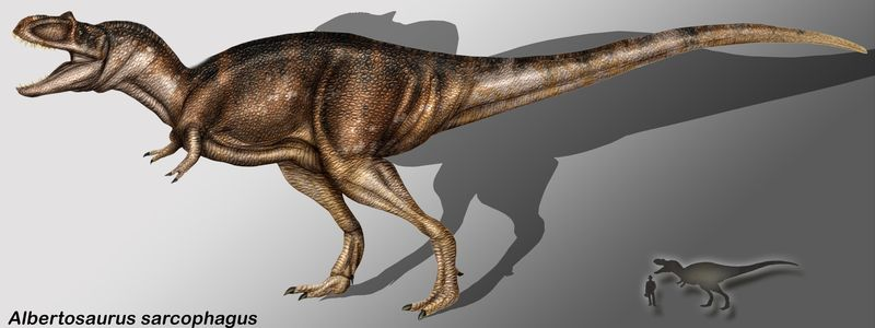 Fri. 9/9 General Meeting – Scott Williams of Burpee Museum on Tyranno Forelimbs