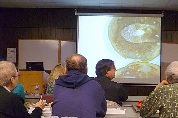 Paleostudy Group National Fossil Day Event