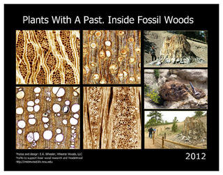 Gift Ideas: Fossil Wood Calendar