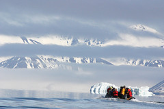 Death by Ice – Who Knew It Could Be So Quick?