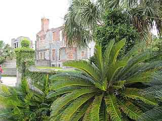 Cultural Ecology of the Atlantic Coast