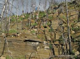 500 million years ago, this critter had a really bad day