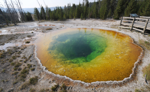Science Friday: Picture of the Week