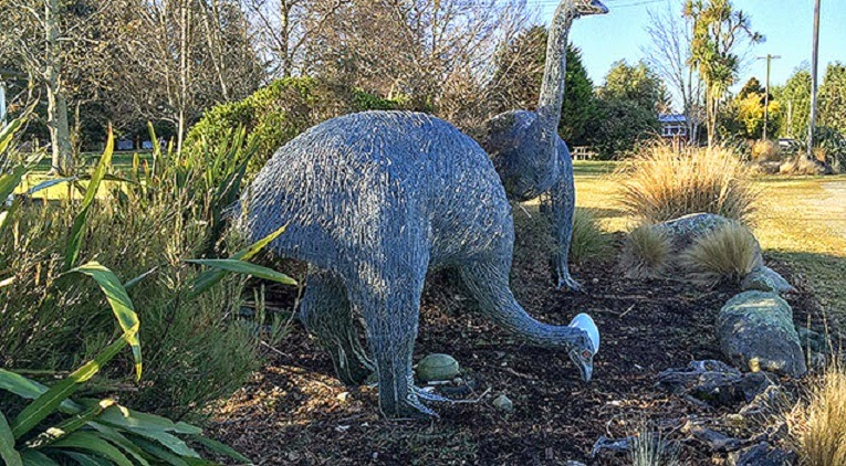 Uni Students Discover Moa in Ancient Oven