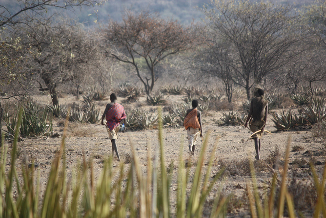 Real Paleo Diet: early hominids ate just about everything