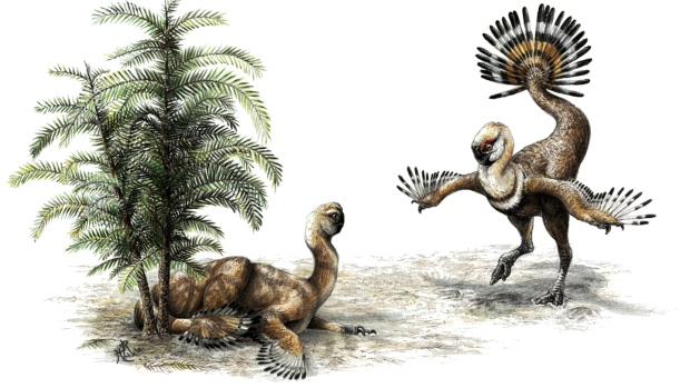 CBC Quirks & Quarks – The Romeo and Juliet of Dinosaur Fossils