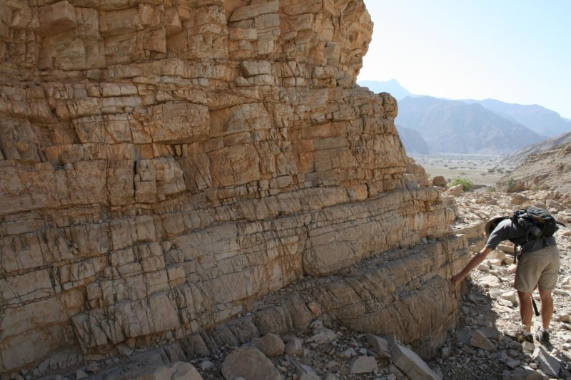Greatest mass extinction driven by acidic oceans, study finds