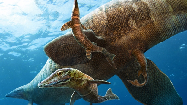 CBC Quirks & Quark – Gigantic Marine Lizards Had Live Births