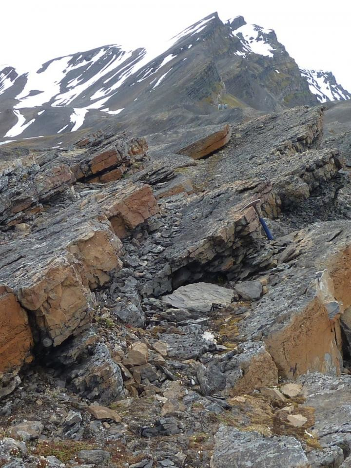 Science Daily: New evidence adds the Capitanian extinction to the list of major extinction crises