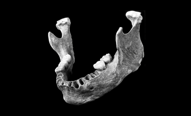 Nature: Early European may have had Neanderthal great-great-grandparent