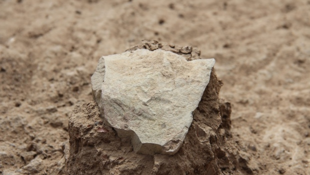 Oldest stone tools pre-date Homo genus