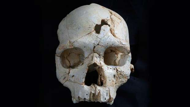 CBC Quirks & Quarks – CSI Paleo: Murder Most Ancient