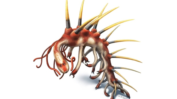 CBC Quirks & Quarks – Hallucigenia Fossil A-head of the Game