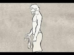 Evolution: 550 million years in 1 minute