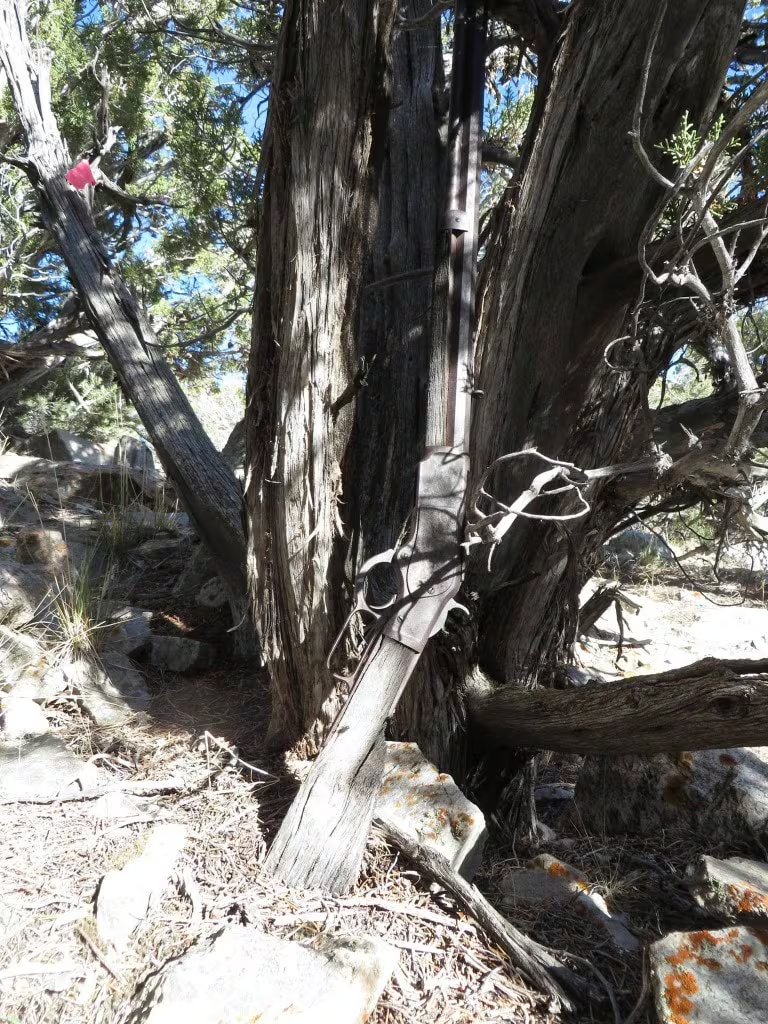 The mystery of the 132-year-old Winchester rifle found propped against a national park tree