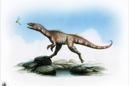 Dinosaur Welsh cousin of T-Rex found on a beach in Penarth