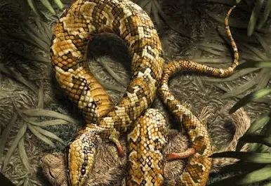 Four-legged snake fossil found