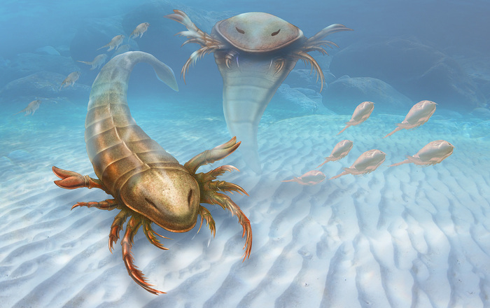 Palaeocast Episode 51: Eurypterids and the new oldest Eurypterid found in Ordovician Rocks near Decorah, Iowa