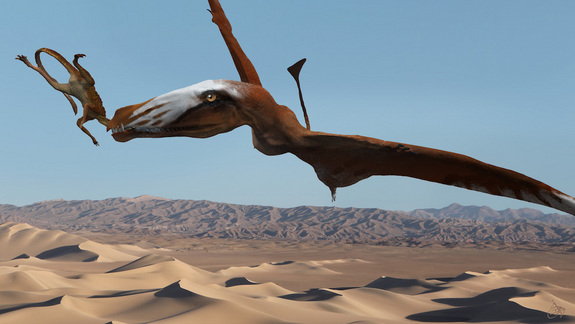 CBC Quirks & Quarks – A Ptoothy Pterosaur With Fangs