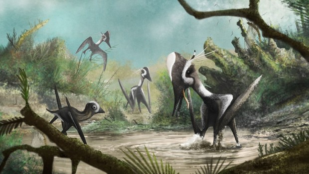 Palaeocast Episode 55: Pterosaurs!