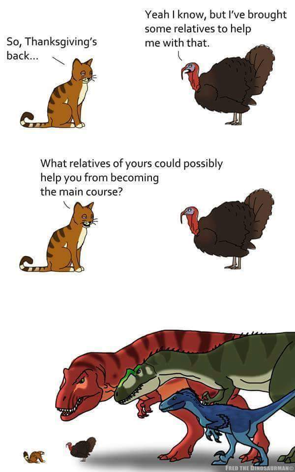 Happy Thanksgiving!