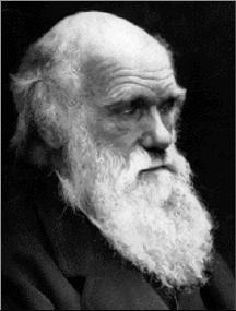 Happy Darwin Day!