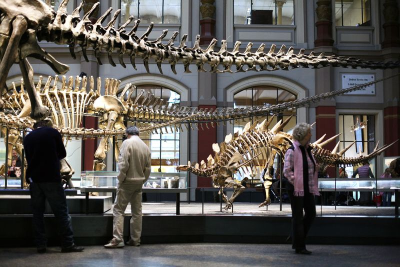 Laelaps – Most Dinosaur Species Are Still Undiscovered