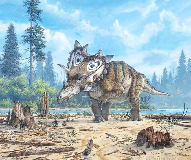 New Frilly-Necked Dinosaur Identified