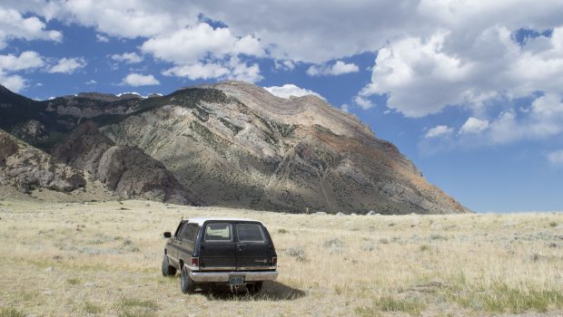 Palaeocast Episode 68: Fossil plants and the Paleocene Eocene thermal maximum