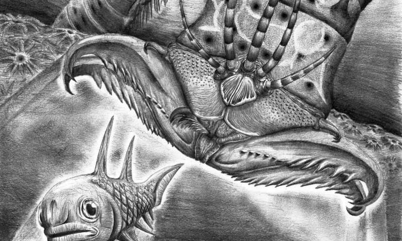 400 million year old gigantic extinct monster worm discovered in Canadian museum