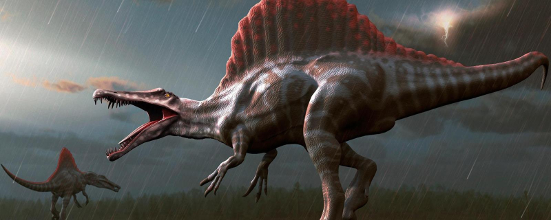 BBC: Legendary Dinosaurs That We All Imagine Completely Wrong