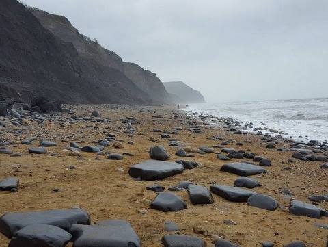 Lyme Regis Presentation Announcement for Paleo Group meeting, April 15th, 2017