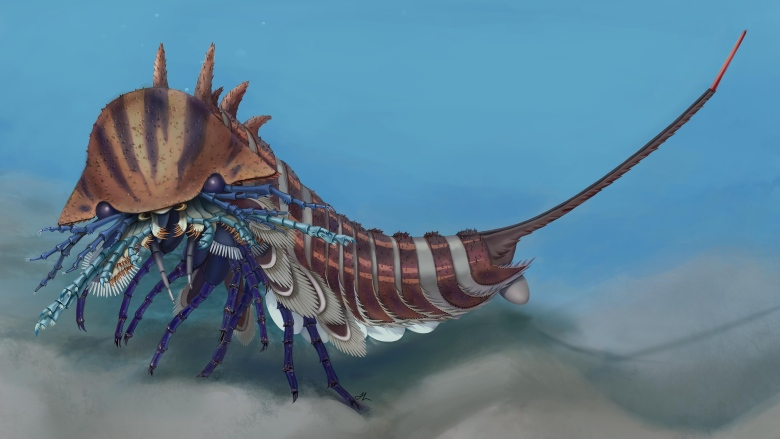 CBC: Ancient spider cousin had 5 sets of jaws for crushing its prey
