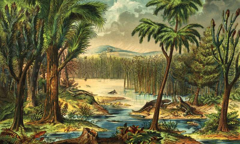 Rainforest collapse 307 million years ago impacted the evolution of early land vertebrates