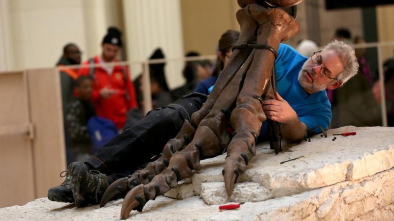 The dismantling of Sue