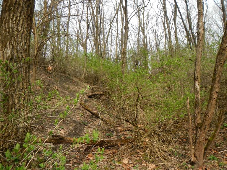 Mazon Creek Fossil Blog – American Fossil Hunt