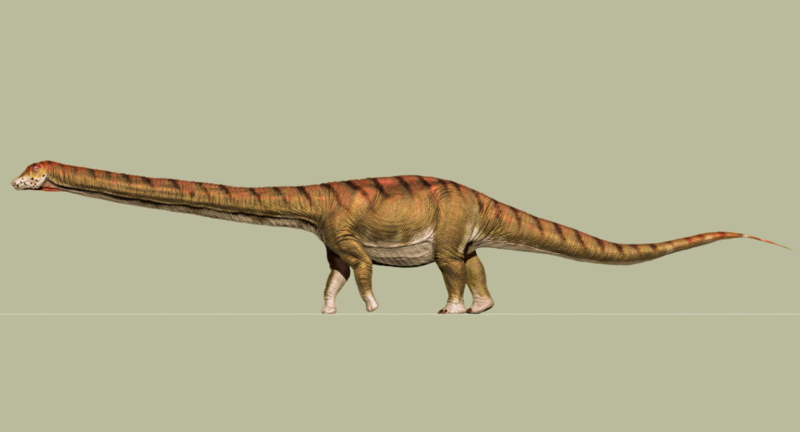 Field Museum: Patagotitan Update