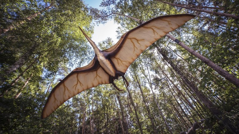 We Have Probably Been Imagining Pterosaurs All Wrong