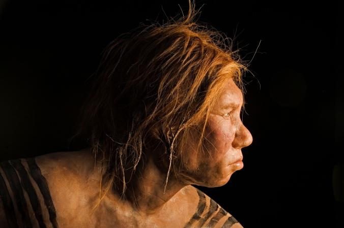 Ancient Girl’s Parents Were Two Different Human Species – Neanderthal and Denisovans