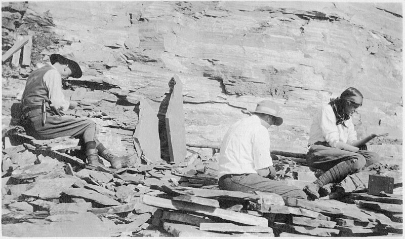 Happy Birthday, Burgess Shale – Discovered August 30th, 1909
