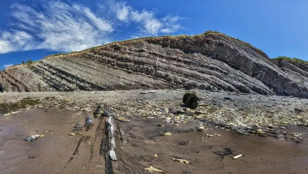 Palaeocast Episode 94: Joggins Fossil Cliffs