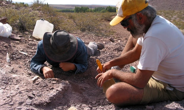 New sauropod dinosaur species unearthed in Argentina – Lavocatisaurus agrioensis