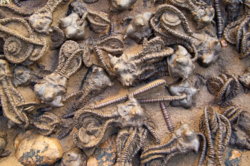 NYT: The Planet Has Seen Sudden Warming Before. It Wiped Out Almost Everything