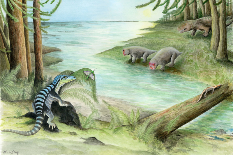 Field Museum: These New Fossil Discoveries Show Why Evolution is the Coolest