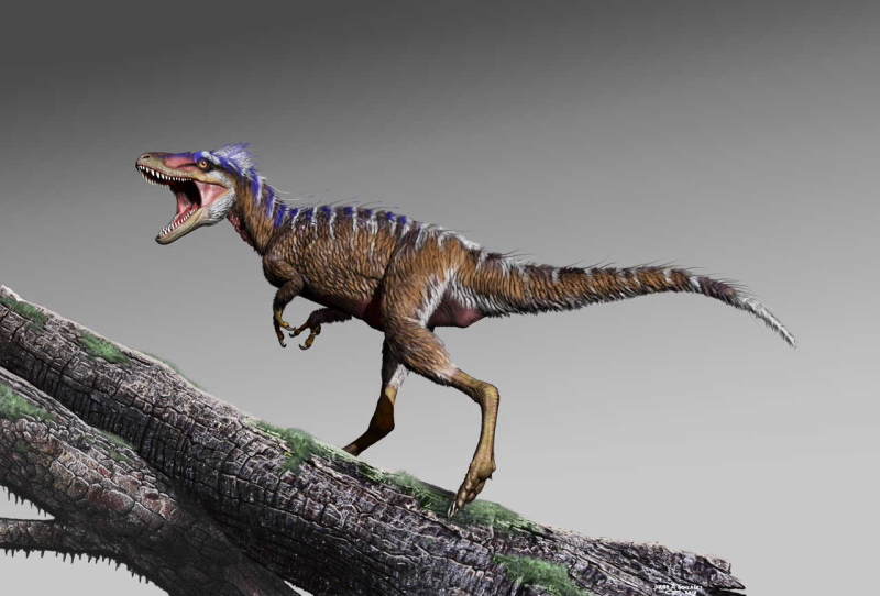 Quicks & Quarks: Tiny tyrannosaur fossil helps scientists understand how T-rex grew so large
