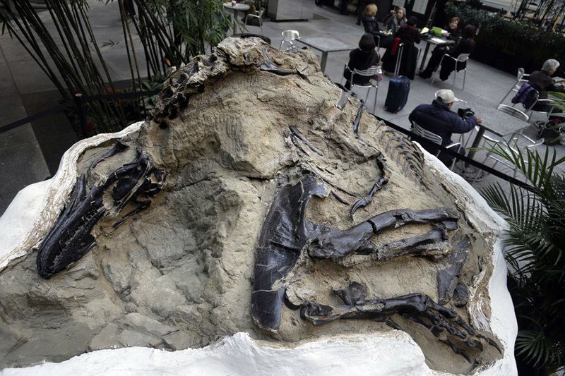 AP: Montana Legislature clarifies ownership rights of fossils