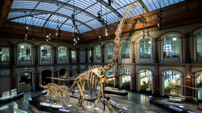 ScienceMag: Countries demand their fossils back, forcing natural history museums to confront their past