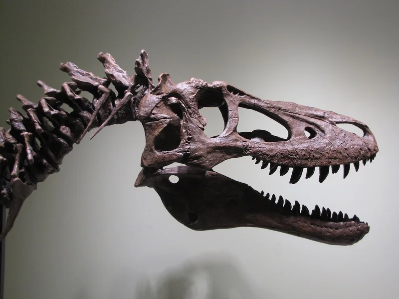 NPR The Indicator: Selling a T-rex on eBay